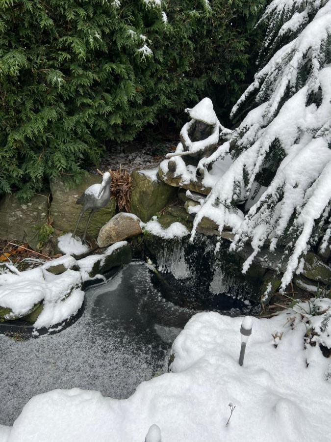 Aristocrathomestay Vancouver Eksteriør bilde